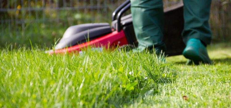 Kosiarka do ogrodu. Jak kosić trawnik szybko i skutecznie?